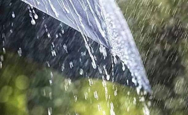 पत्थलगांव में झमाझम बारिश से फिर बढ़ा सर्दी का प्रकोप पत्थलगांव में झमाझम बारिश से फिर बढ़ा सर्दी का प्रकोप