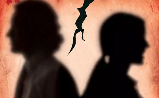 खूबसूरत न होने का ताना मारना भी तलाक का आधार : दिल्ली हाईकोर्ट खूबसूरत न होने का ताना मारना भी तलाक का आधार : दिल्ली हाईकोर्ट