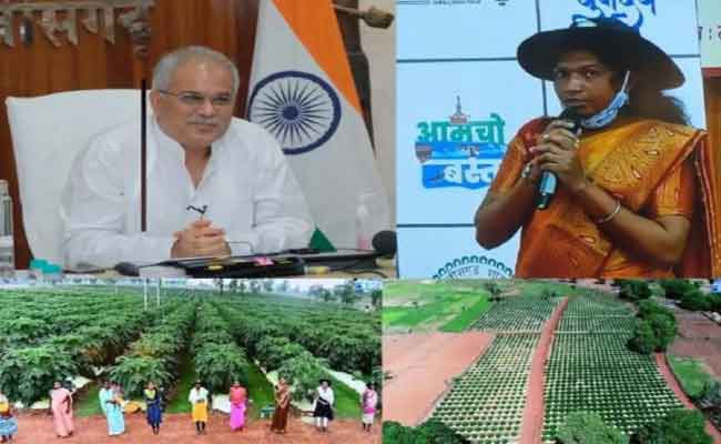 CG: मुख्यमंत्री ने की पपीता प्राजेक्ट की लॉन्चिंग, डेढ़ साल में 3 करोड़ की आमदनी का अनुमान CG: मुख्यमंत्री ने की पपीता प्राजेक्ट की लॉन्चिंग, डेढ़ साल में 3 करोड़ की आमदनी का अनुमान